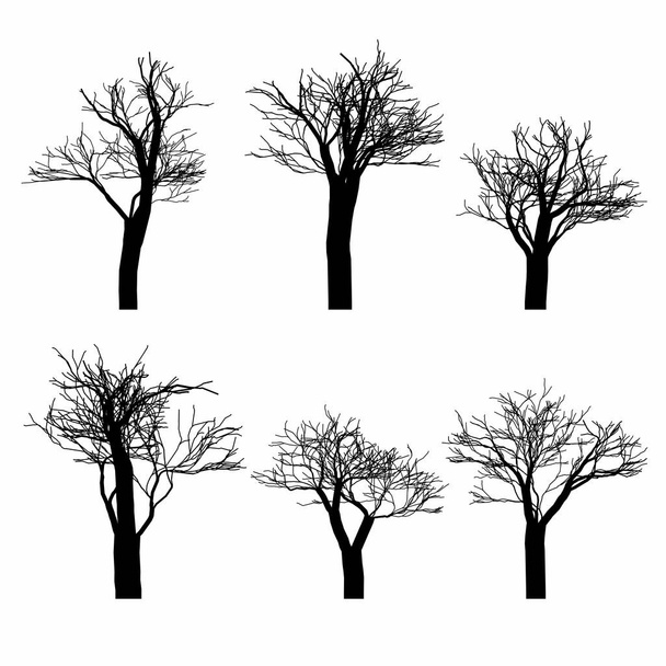 Zestaw czarny nagie drzewa zestaw sylwetka. Ręcznie rysowane na białym tle. wektor - Wektor, obraz
