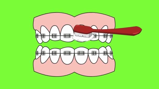 Diş Bakımı - vektör animasyon - Video, Çekim