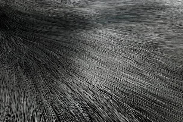 silberne Farbe Tierfell Textur von Wolf oder Fuchs extreme Nahaufnahme. 3D-Darstellung - Foto, Bild