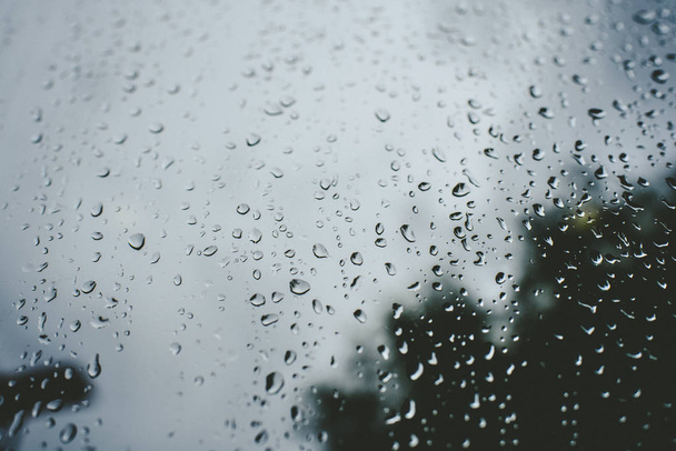 Gotas de chuva em um dia de outono em um copo
. - Foto, Imagem