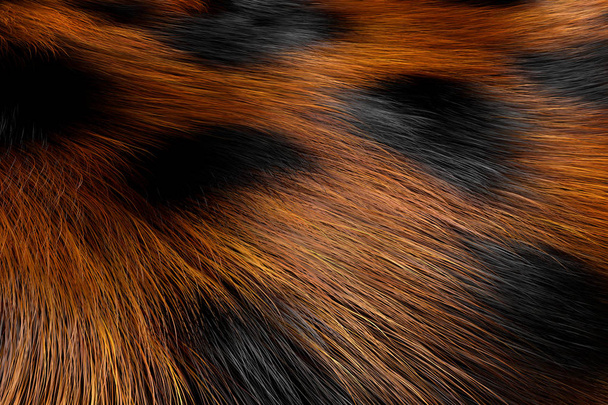 Animal Fur Spotted Texture of Leopard äärimmäisen lähikuva. 3d renderöinti
 - Valokuva, kuva