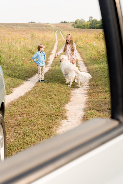 adorable little kids playing with golden retriever in field with car on foreground - Photo, Image