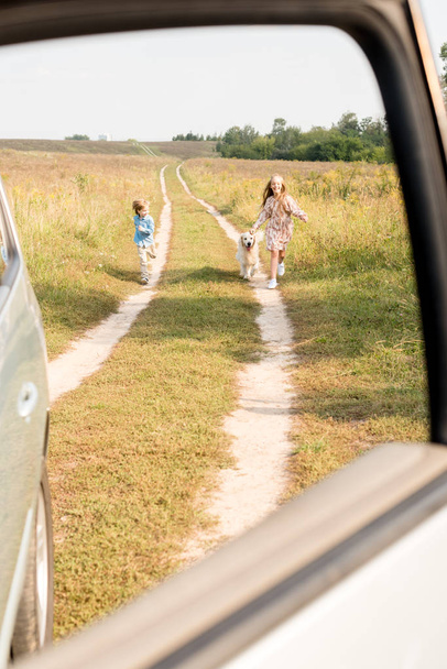 adorable little kids walking by road in field with golden retriever with car on foreground - Фото, изображение