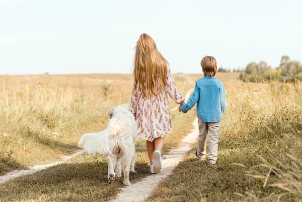 visão traseira crianças caminhando pela estrada no campo com golden retriever
 - Foto, Imagem