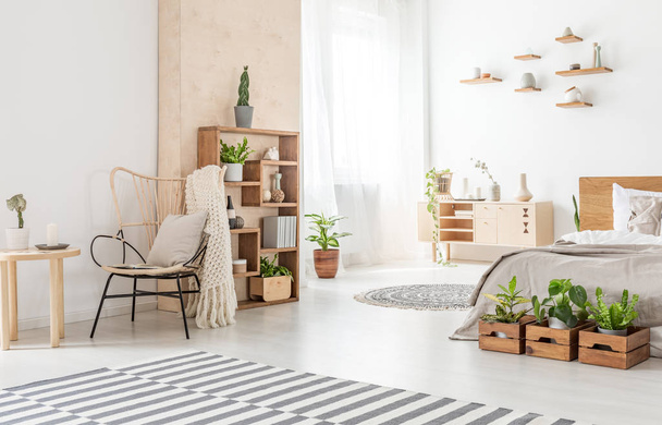 Кресло рядом с деревянным столом и ковром в интерьере спальни с растениями перед кроватью. Настоящее фото
 - Фото, изображение