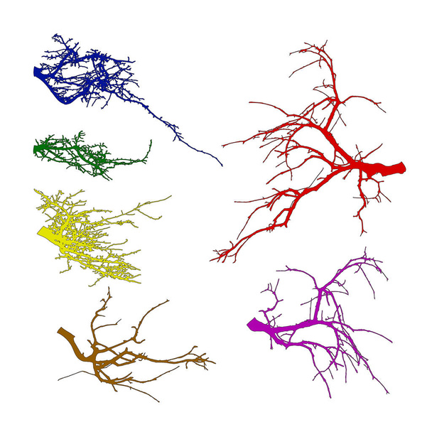 Ρεαλιστική σύνολο σιλουέτα κλαδιά δέντρου (εικονογράφηση διάνυσμα). Διαφορετικό χρώμα αποχρώσεις - Διάνυσμα, εικόνα