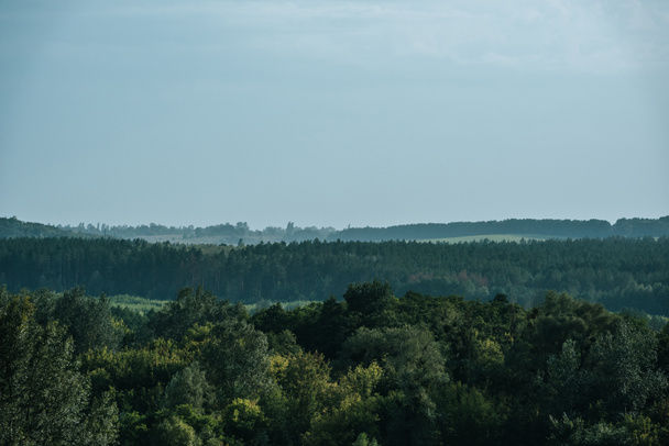 Widok z lotu ptaka Ciemny zielony las i niebo jesienią - Zdjęcie, obraz