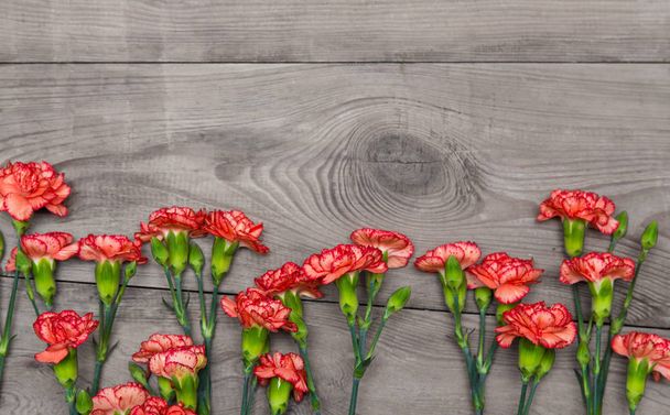 Ένα μπουκέτο λουλούδια κόκκινο και ροζ γαρίφαλα σε ένα ρουστίκ ξύλινο τραπέζι. Θάμπωμα φόντου με αντίγραφο χώρου. - Φωτογραφία, εικόνα