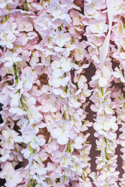 Close-up view of beautiful decorative pink flowers full frame background - 写真・画像