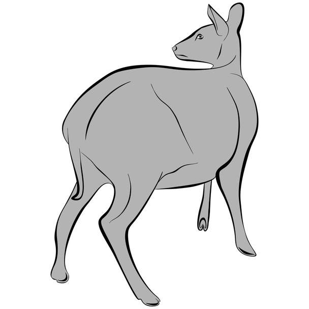 鹿 - ベクター画像