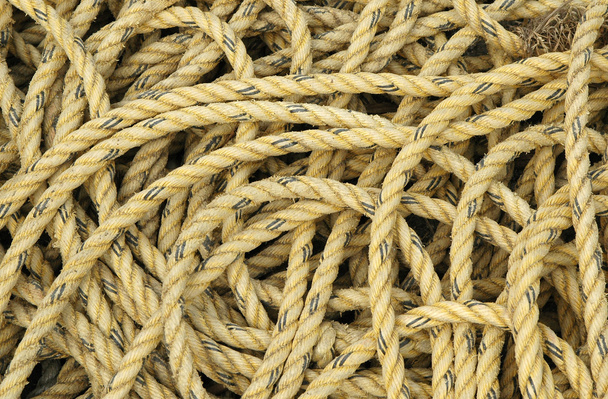 мотузка
 - Фото, зображення