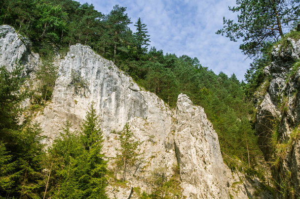 Un hermoso paisaje de acantilados en el bosque en la región de Baja Tatra. Día soleado, paisajes coloridos en Eslovaquia, Europa
. - Foto, imagen