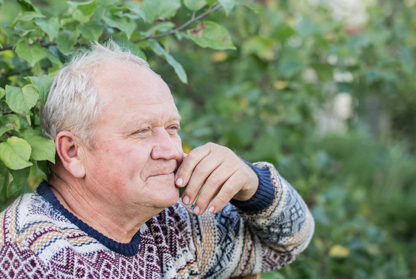 portrait of  elderly man in  sunny garden - Fotografie, Obrázek