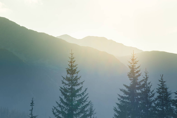 Uma paisagem sonhadora e nebulosa de um montanhas perto do pôr do sol. Flas\re de sol e olhar enevoado em tons de azuis. Paisagem de montanha na noite. Montanhas Tatra na Eslováquia, Europa. - Foto, Imagem
