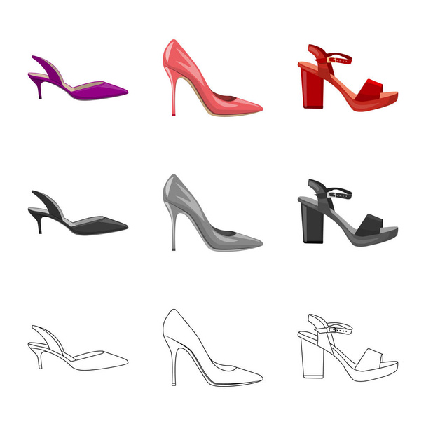 Vector design of footwear and woman icon. Set of footwear and foot vector icon for stock. - Вектор,изображение