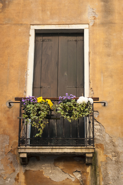 Flower box, Venice, Italy - Valokuva, kuva