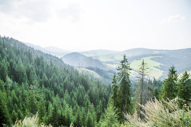 Uma bela paisagem montanhosa nas montanhas Tatra, na Eslováquia, na Europa. Paisagem de verão com montanhas e floresta
. - Foto, Imagem