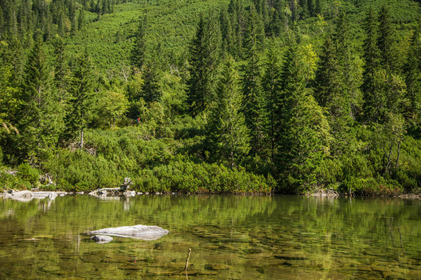 Красивий, чистий озеро в долині гори в спокійній, сонячний день. Гірський краєвид з водою в літо. Гори Татри у Словаччині, Європа. - Фото, зображення