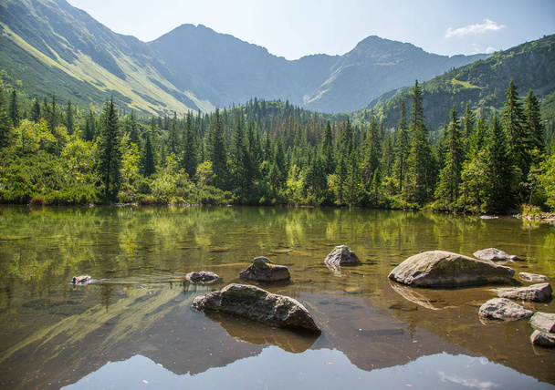 穏やかな、晴れた日の山の谷で美しく、きれいな湖。夏季の水と山の風景。ヨーロッパ、スロバキアのタトラ山脈. - 写真・画像