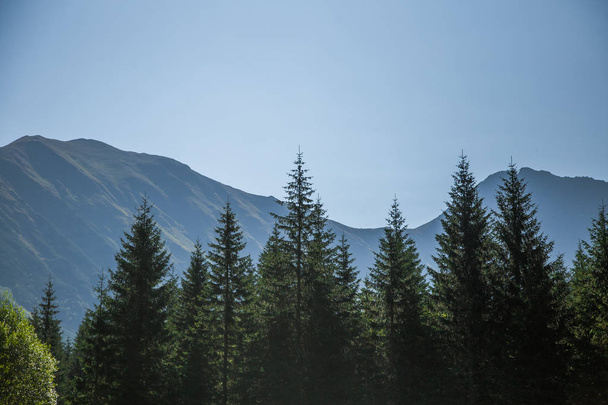 Uma bela paisagem de verão nas montanhas. Paisagem natural nas montanhas, parque nacional. Montanhas Tatra na Eslováquia, Europa
. - Foto, Imagem
