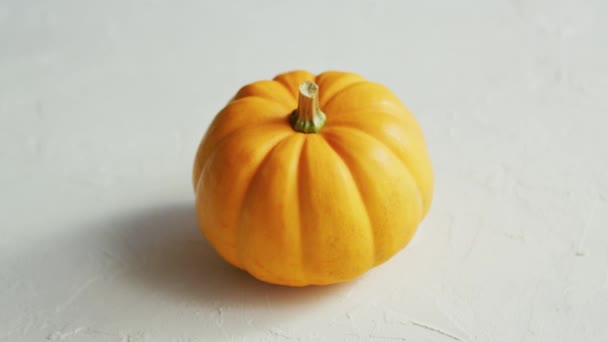 Yellow pumpkin laid in middle - Footage, Video