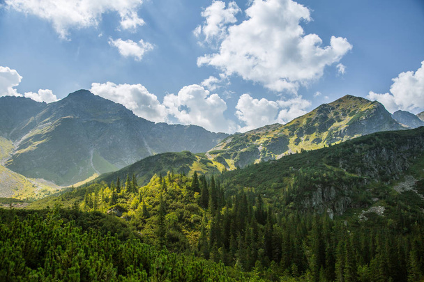 A beautiful summer landscape in mountains. Natural scenery in mountains, national park. Tatra mountains in Slovakia, Europe. - Zdjęcie, obraz