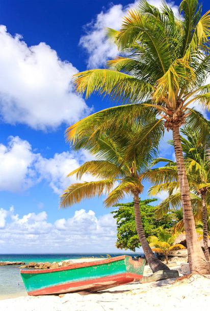 Bella spiaggia di caraibi sull'isola di Saona, Repubblica Dominicana
 - Foto, immagini