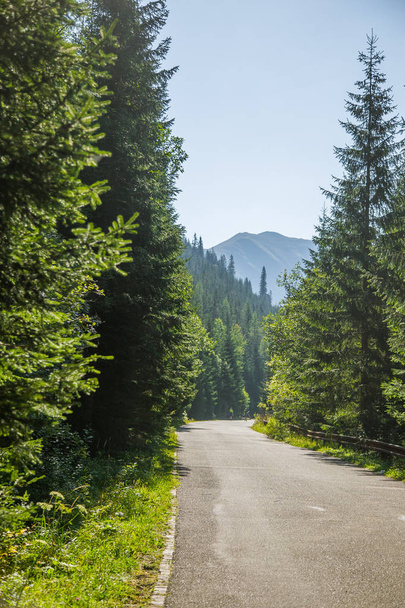 Széles aszfaltozott út vezet az erdőn át hegyek. Természetes hegyi táj, nyári táj. Tátra, Szlovákia, Európa. - Fotó, kép