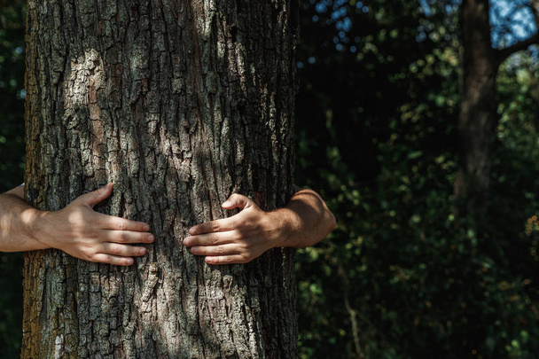 Human hands hug, wrap a tree. Contact man and nature, the concept of ecology. Productivity. Symbiosis - Foto, afbeelding