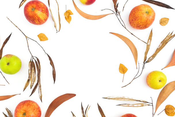 Podzimní rám s pádem listy, jablko ovoce na bílém pozadí. Pohled na ploché ležel, top. Den díkůvzdání - Fotografie, Obrázek