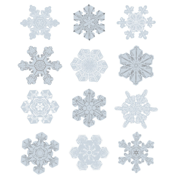 Sammlung extrem detaillierter isolierter Schneeflocken. Natur gleich Muster in Blau und Grau - Vektor, Bild