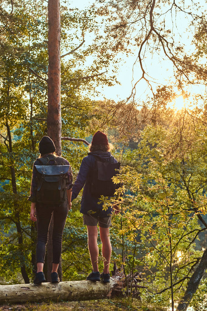 Para młoda hipster, trzymając się za ręce stoi na pniu w pięknym lesie o zachodzie słońca. Podróże, turystyka i koncepcja wycieczka. - Zdjęcie, obraz