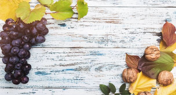 Autumn background, fall leaves and grapes on a wooden old background. Top view and copy space - Фото, изображение