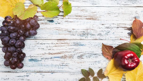 Konzept der Herbstfrüchte aus Apfel, bunten Blättern und Trauben auf einem blau-weißen Holztisch, Draufsicht - Foto, Bild