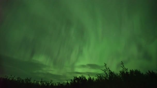 Realistic real time (not timelapse) aurora borealis (northern lights) in Whitehorse, Canada, at 02:20 on September 11, 2018 with 20mm wide-angle lenz - Footage, Video