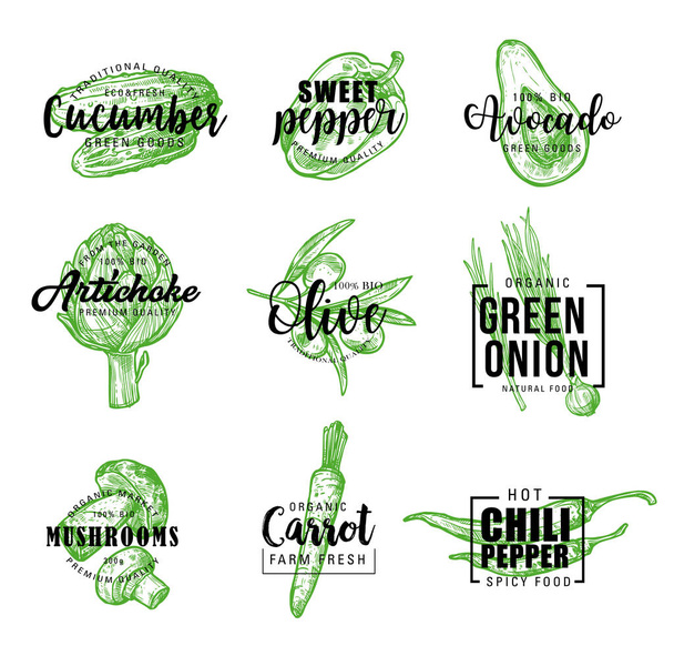 Bio zelenina zelená, nápis ikony - Vektor, obrázek