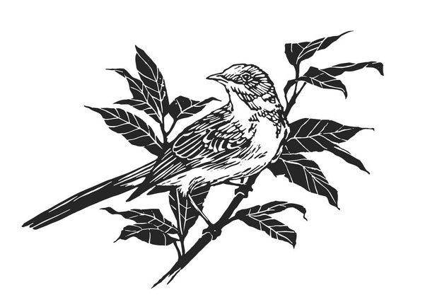 Bird on Branch. Engraving Linocut Style. Vector illustration - Wektor, obraz