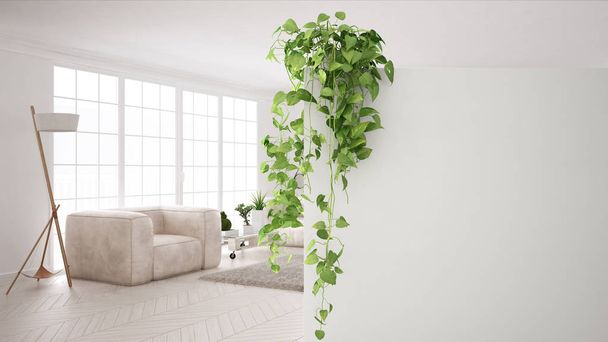 コピー スペース、鉢植え、現代的な白いリビング ルームとフォア グラウンドの白い壁と緑のインテリア デザインのコンセプト背景 - 写真・画像
