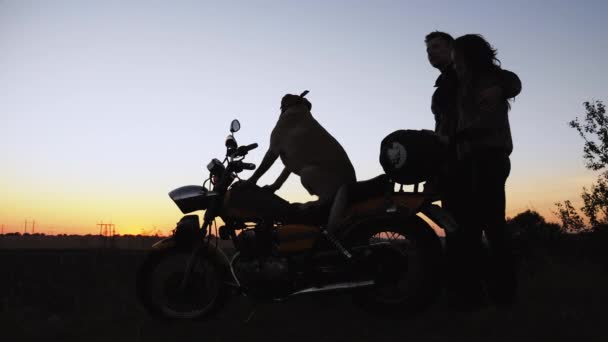 Silhouette von der Seite: ein Hund, der auf einem Motorrad sitzt und mit einem Liebespaar in die Ferne blickt - Filmmaterial, Video