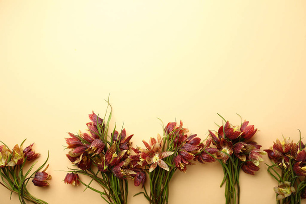 Spring wild flowers background, flat lay - Foto, immagini