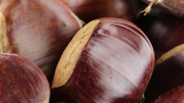 chestnuts cooked in the oven - Footage, Video