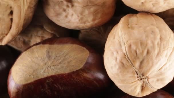 Vlašské ořechy a kaštany bio - Záběry, video