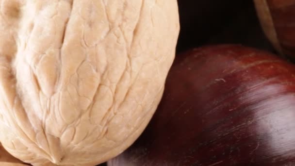 Vlašské ořechy a kaštany bio - Záběry, video