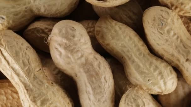 gesalzene amerikanische Erdnüsse bio - Filmmaterial, Video