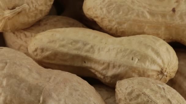 アメリカのピーナッツは塩バイオ - 映像、動画