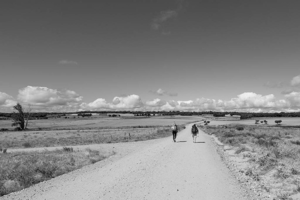 Camino de Santiago (Ισπανία) - Μερικοί προσκυνητές το περπάτημα στο δρόμο του στη συνέχεια, με την ισπανική meseta - Φωτογραφία, εικόνα