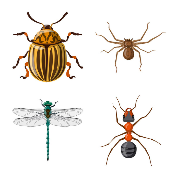 Vector design of insect and fly logo. Collection of insect and element vector icon for stock. - Wektor, obraz