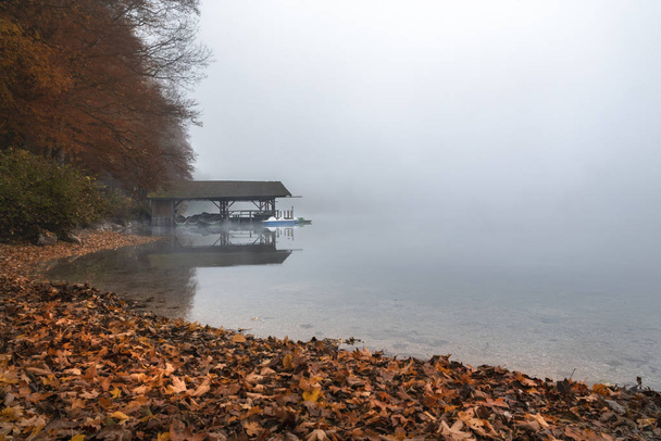 Anlegestelle mit Holzdach und Booten vor Anker, am Alpsee, umgeben von Nebel und Herbstwald, in der Nähe von Füssen, Bayern, Deutschland. - Foto, Bild