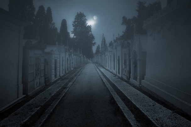 Old cemetery street in a foggy full moon night - Photo, Image