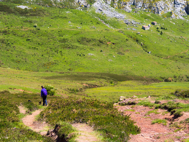 Walker Picos de Europa Asturias; näet vuoristoinen alue keväällä
 - Valokuva, kuva